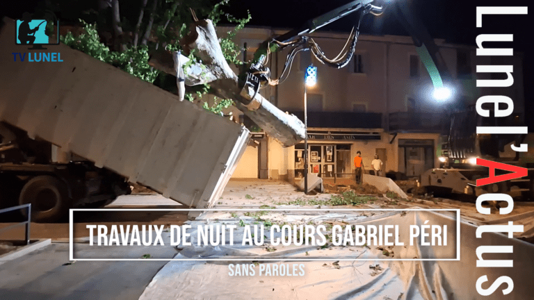 Lunel : abattage nocturne de platanes malades au Cours Gabriel Péri