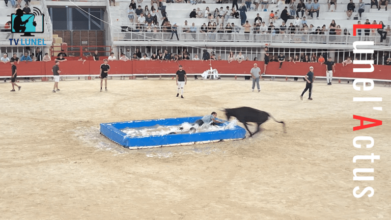 Taureau Piscine à Lunel : une première soirée estivale réussie dans les arènes